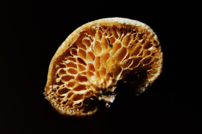 D72_1746004.jpg