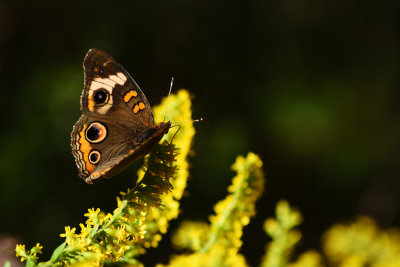 D72_5928-005.jpg