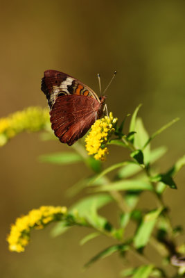 D72_6138-013.jpg