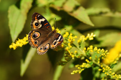 D72_6221-018.jpg