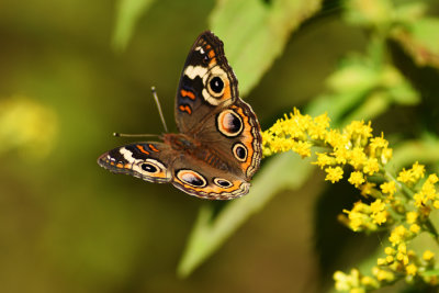 D72_6280-019.jpg