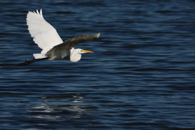 D72_7014-006.jpg