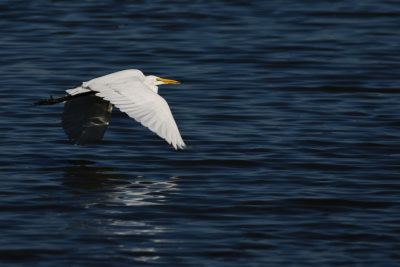 D72_7018-008.jpg