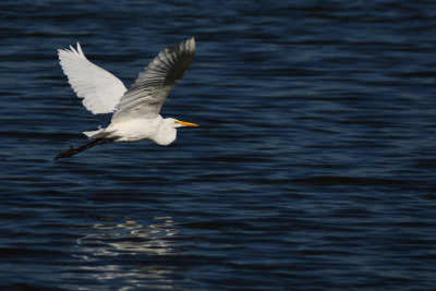 D72_7019-009.jpg