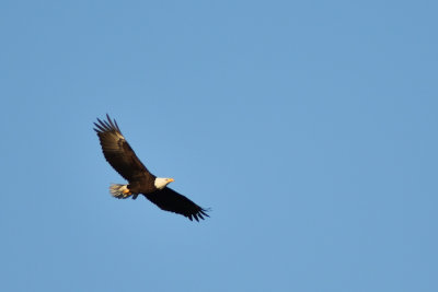 D72_7171-035.jpg