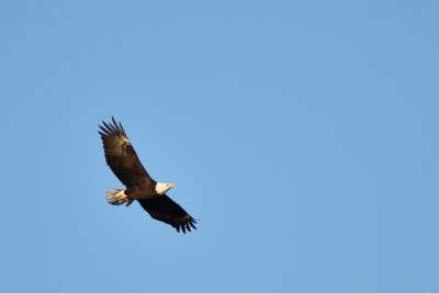D72_7172-036.jpg
