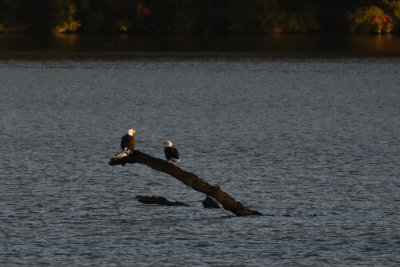 D72_7316-055.jpg