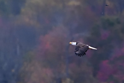 D72_7586005.jpg