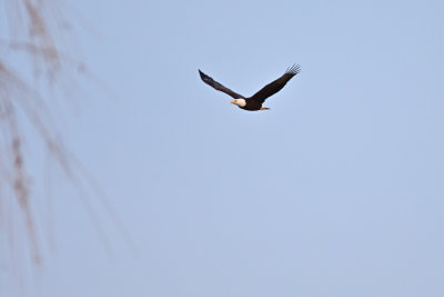 D72_9856-023.jpg