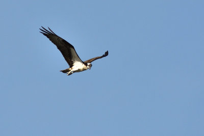 D72_8000-034.jpg