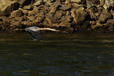 D72_8061-037.jpg