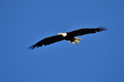 D72_8175-053.jpg