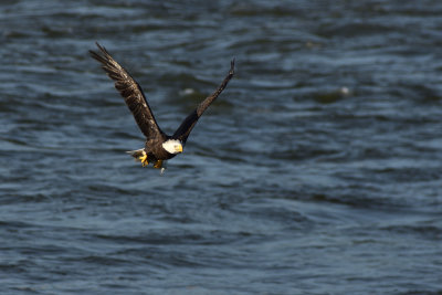 D72_8204-056.jpg