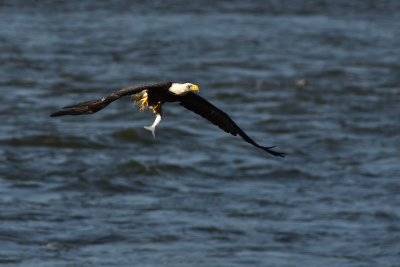 D72_8206-057.jpg