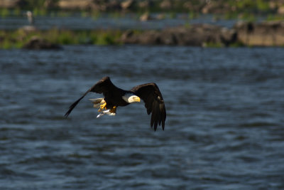D72_8207-058.jpg