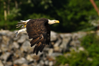 D72_8219-066.jpg