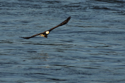 D72_8267-076.jpg