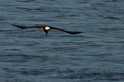 D72_8270-079.jpg