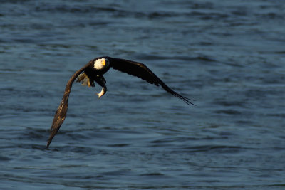 D72_8272-081.jpg