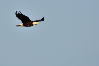 D72_8286-091.jpg