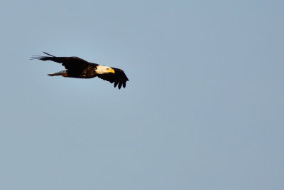 D72_8289-092.jpg