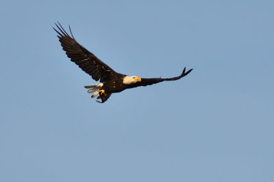 D72_8383-098.jpg