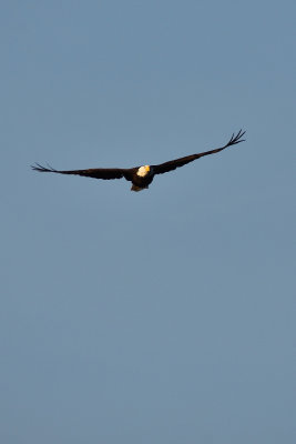 D72_8479-112.jpg