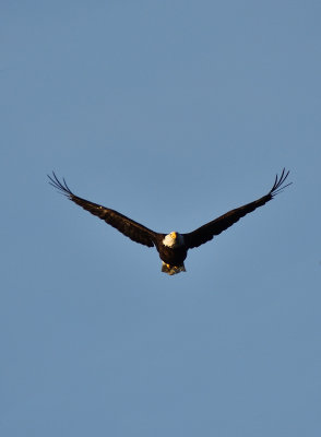 D72_8490-114.jpg