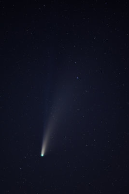 D72_8575-002.jpg