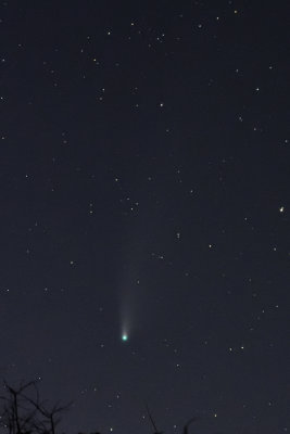 D72_8632-003.jpg