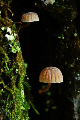 D72_9142-018.jpg