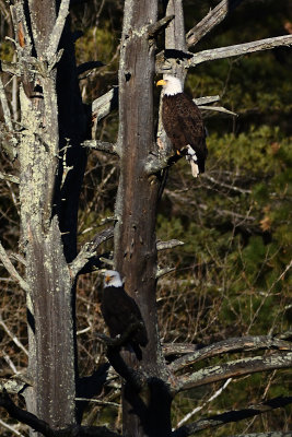 D72_2024_00003.jpg