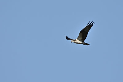 D72_2742_00007s.jpg