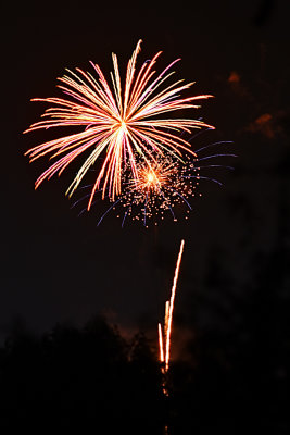 D72_3258_00022s.jpg