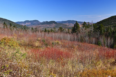 D72_7183_00040.jpg