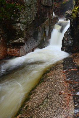 D72_7029_00008.jpg