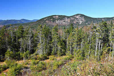 D72_7187_00041.jpg