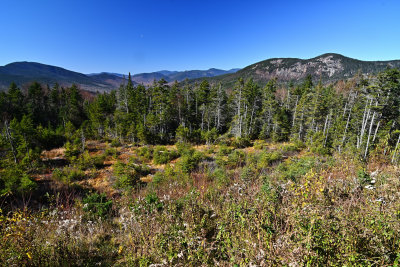 D72_7189_00042.jpg