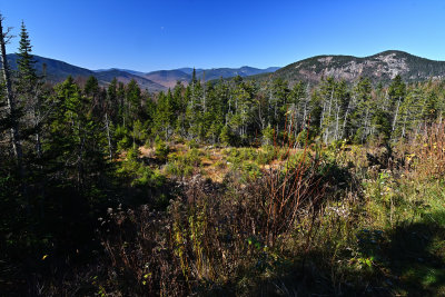 D72_7194_00043.jpg