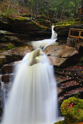 D72_7046_00011.jpg