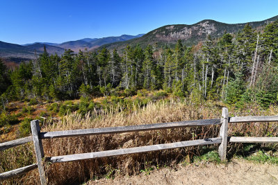 D72_7202_00045.jpg