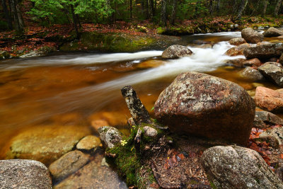 D72_7052_00013.jpg