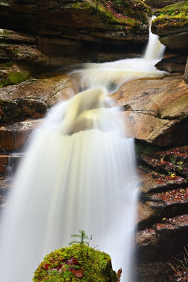 D72_7064_00015.jpg