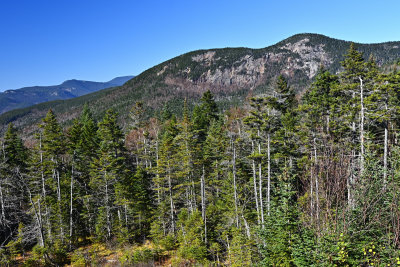 D72_7207_00048.jpg
