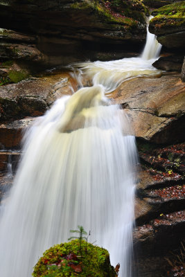 D72_7067_00016.jpg