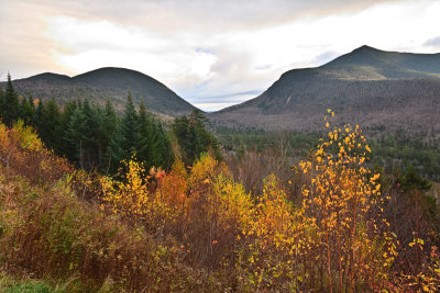 D72_7085_00018.jpg