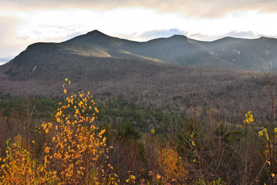 D72_7086_00019.jpg