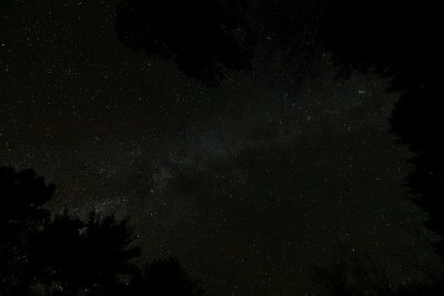 D72_7095_00021.jpg