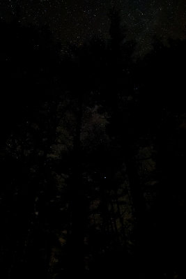 D72_7102_00023.jpg
