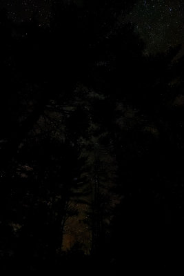 D72_7103_00024.jpg